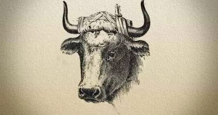 Možete li pronaći ljudsko lice?/