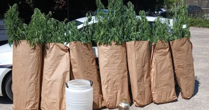 Oduzeta droga/MUP HNK//