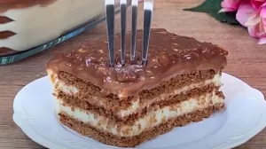 Brz, jednostavan i savršen/Youtube/ Screenshot