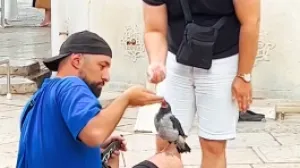 Screenshot/ Facebook/