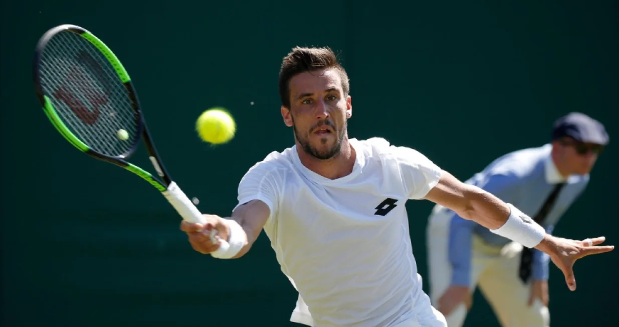damir dzumhur 
