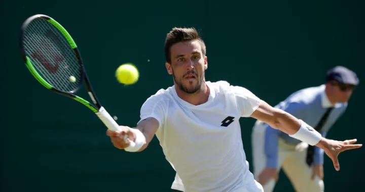 damir dzumhur 