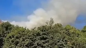 Požar je izbio na deponiji Krupačke stijene/Screenshot/