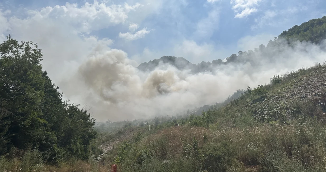 Požar na deponiji Krupačke stijene/Amir Papić