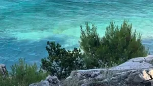 djdj kkd/Tiktok/ Screenshot