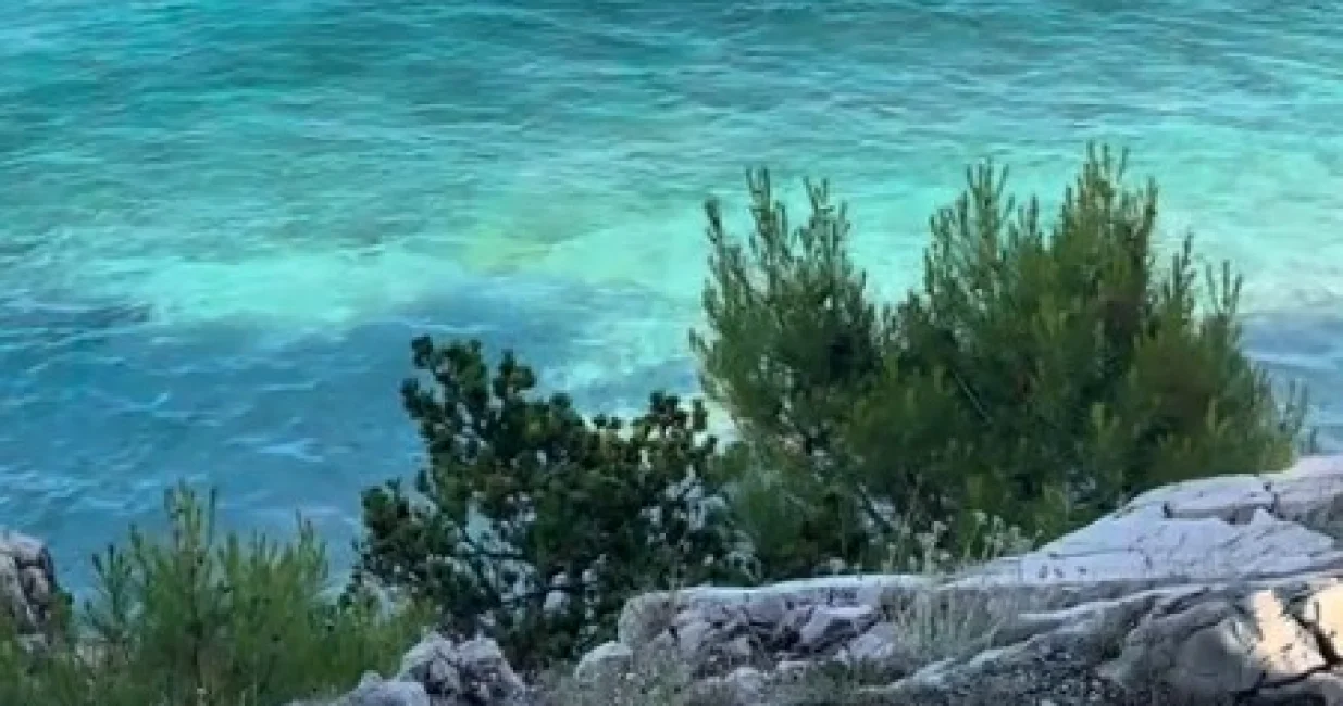 djdj kkd/Tiktok/ Screenshot