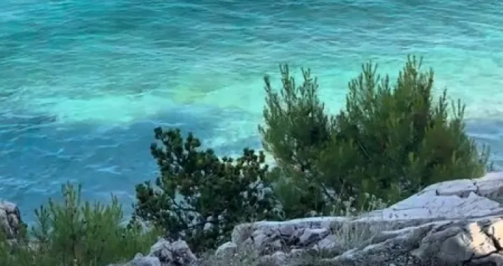 djdj kkd/Tiktok/ Screenshot