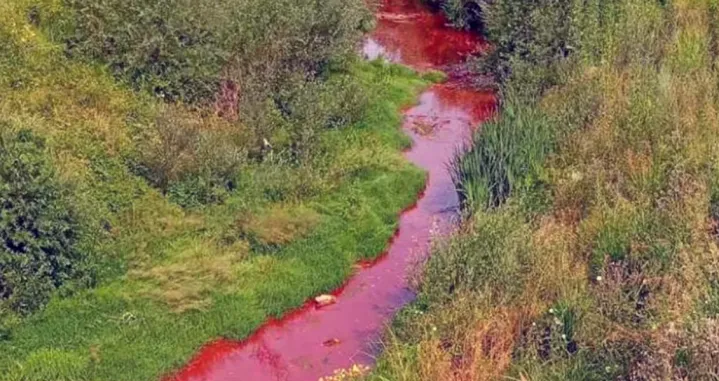 Crveni mulj, rijeka Sapna, ekološka katastrofa, mulj iz fabrike Nova Alumina/Srna