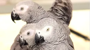 Screenshot/ Instagram/