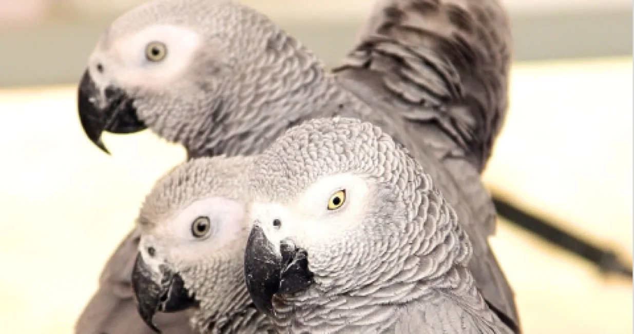 Screenshot/ Instagram/