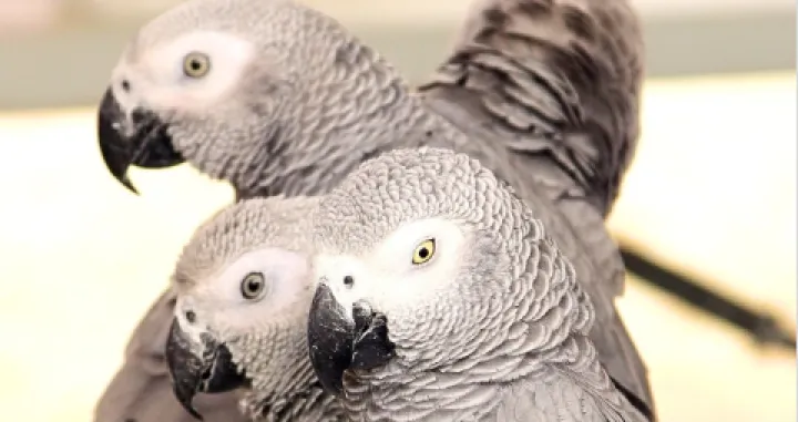 Screenshot/ Instagram/