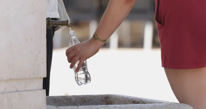 vrućina hladovina odmaranje/Senad Gubelić