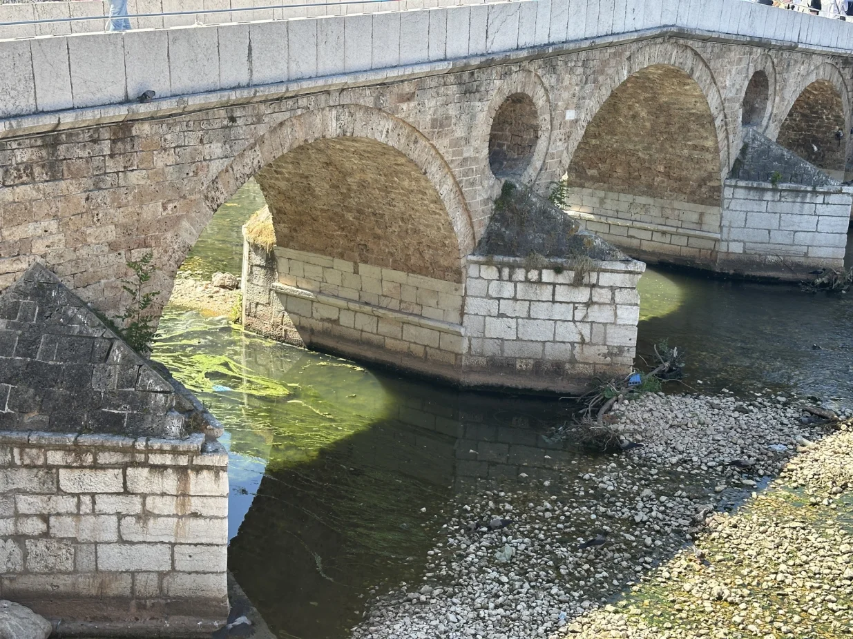 Alge "zavladale" Miljackom/Amir Papić