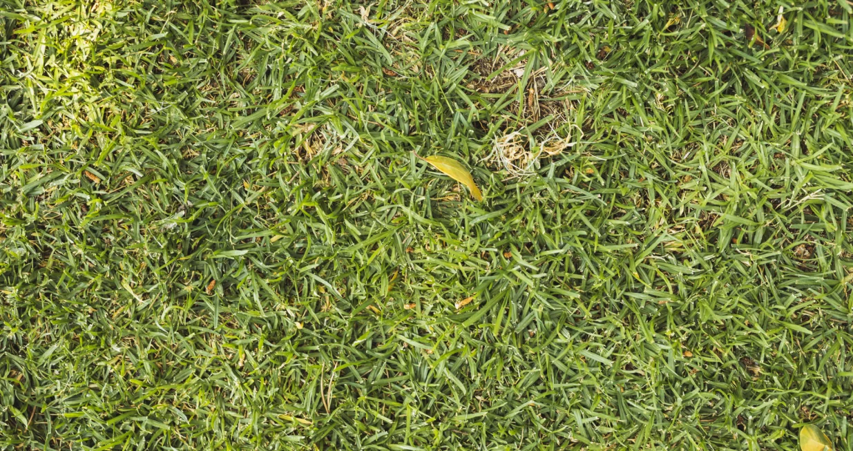 Ekološki resurs koji svi zanemaruju/Free Pik