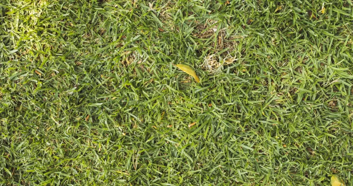 Ekološki resurs koji svi zanemaruju/Free Pik