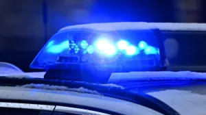 Policija (FOTO: Instagram/srbija.sad)/