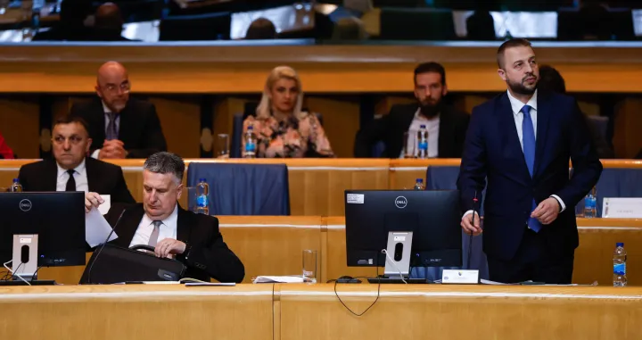 Dom naroda PSBiH sjednica/Damir Deljo