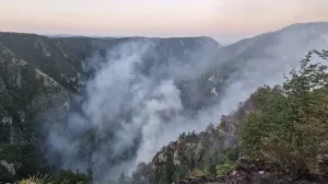 srebrenica, požar, vatra, šuma, vatrogasci, vanredna situacija/Općina Srebrenica