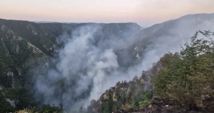 srebrenica, požar, vatra, šuma, vatrogasci, vanredna situacija/Općina Srebrenica