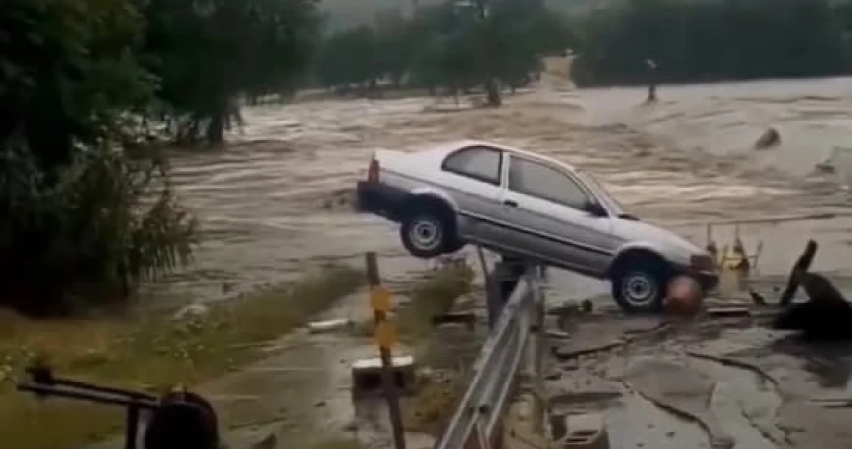 Polave Teksas/Screenshot X