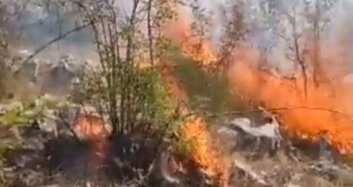 Novi požar u trebinju/Screenshot/