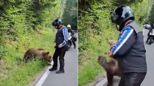 Turista koji se uslikao sa medvjedom neposredno prije smrti/X