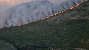 požar kod Trebinja: Teren nepristupačan, ali ćemo se izboriti sa vatrenom stihijom/