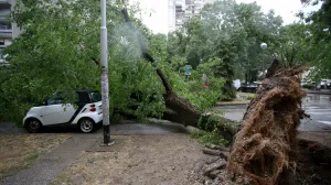 07.07.2025., Zagreb - U prijepodnevnim satima oluja je poharala Zagreb. U Ulici Bozidara Magovca stablo se srusilo na cetiri automobila. Photo: Zeljko Lukunic/PIXSELL/Zeljko Lukunic/pixsell