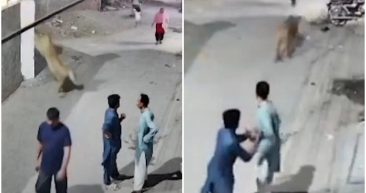 Snimljen napad/Printscreen/X.com//