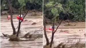 Dramatični prizori/Printscreen/X.com//