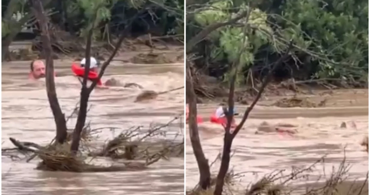 Dramatični prizori/Printscreen/X.com//