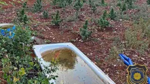 Oduzeti droga i oružje/FUP/