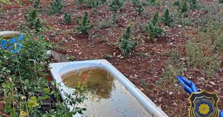 Oduzeti droga i oružje/FUP/