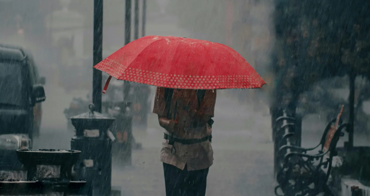 Kiša, pljusak/Ilustracija/Pexel