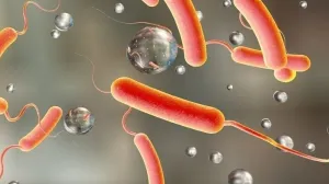 Koleru uzrokuje bakterija/Ilustracija/