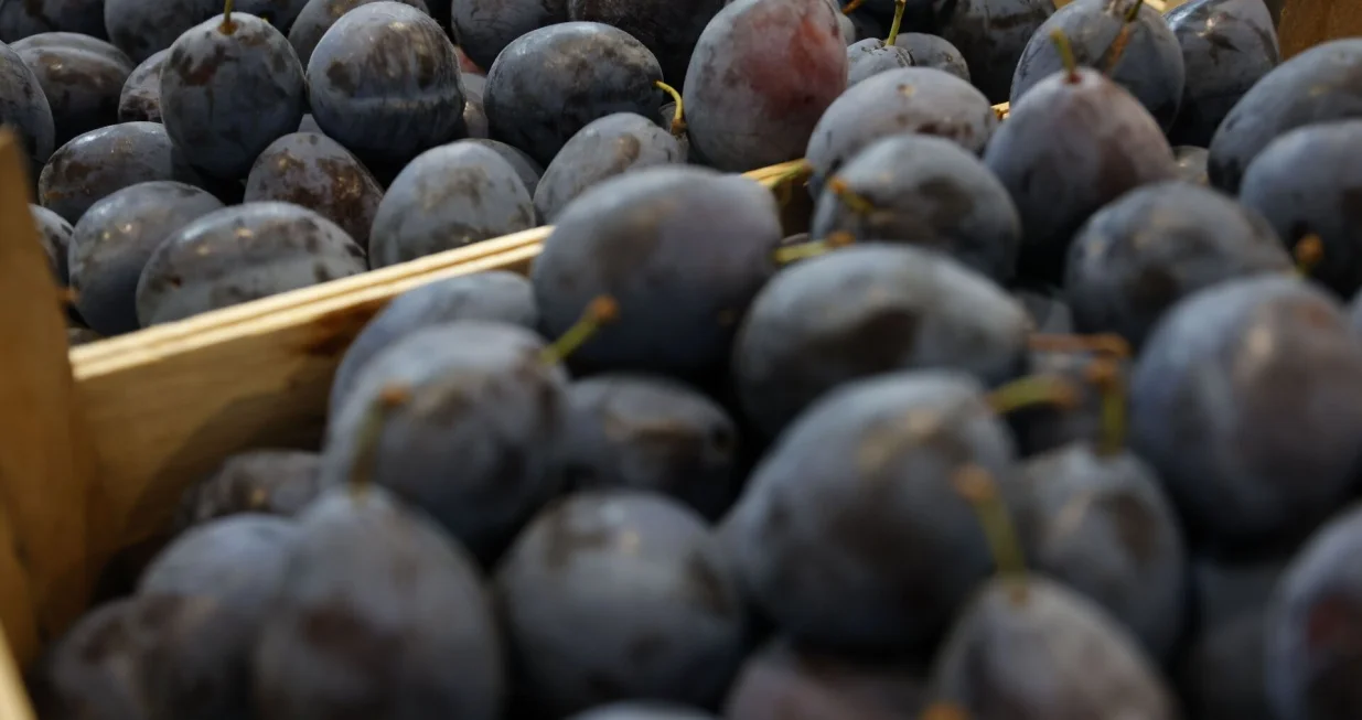 Sajam šlljive Gradačac /FENA/