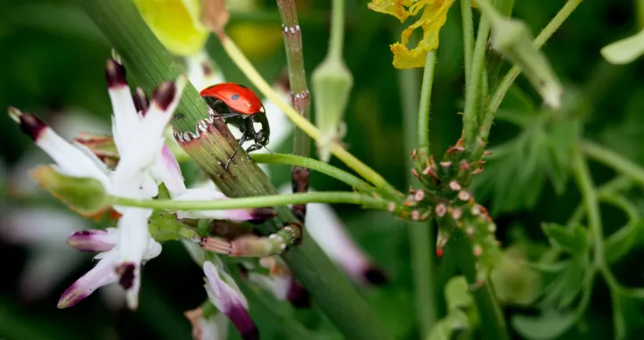 Ne trebate skupe preparate/Freepik
