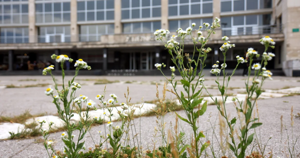 Željeznička stanica Sarajevo - TRG ŽRTAVA GENOCIDA U SREBRENICI/Senad Gubelić