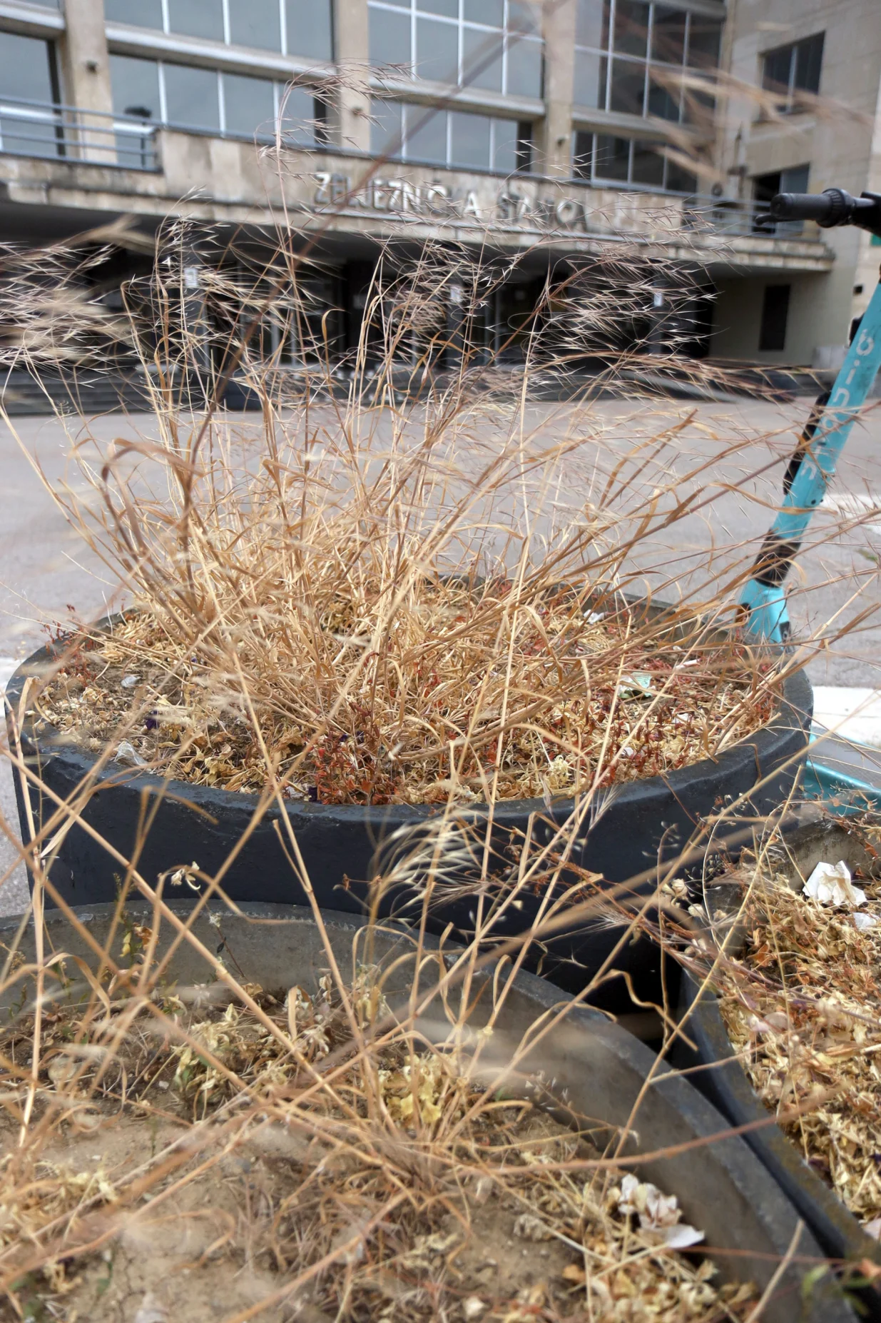 Željeznička stanica Sarajevo - TRG ŽRTAVA GENOCIDA U SREBRENICI/Senad Gubelić