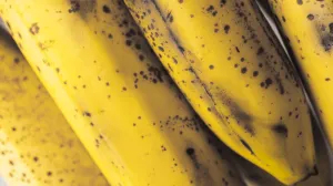 Jedan kuhinjski detalj čini čudo/Free Pik