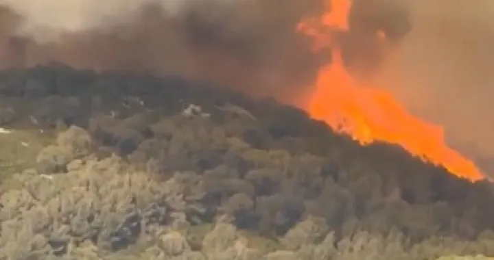 Bjesne požari/Printscreen/X.com//