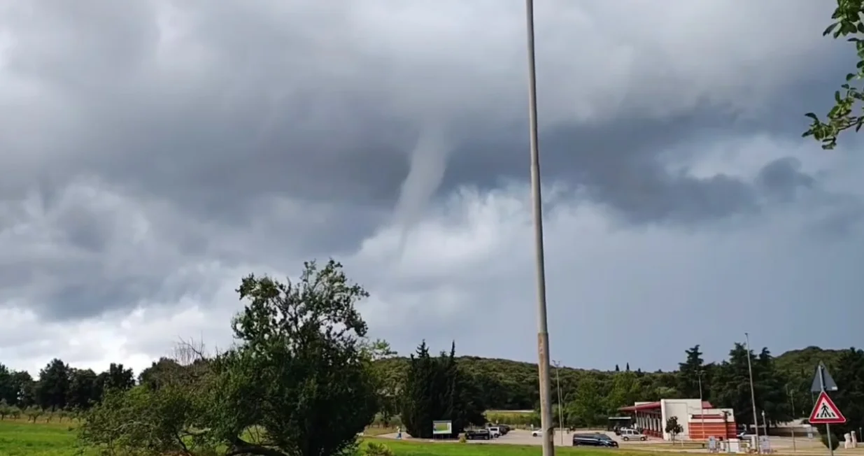 Divovska pijavica u Istri//