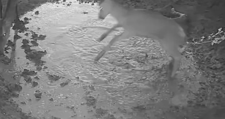 Screenshot/ Facebook/