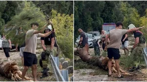 FOTO: Dalmatinski portal