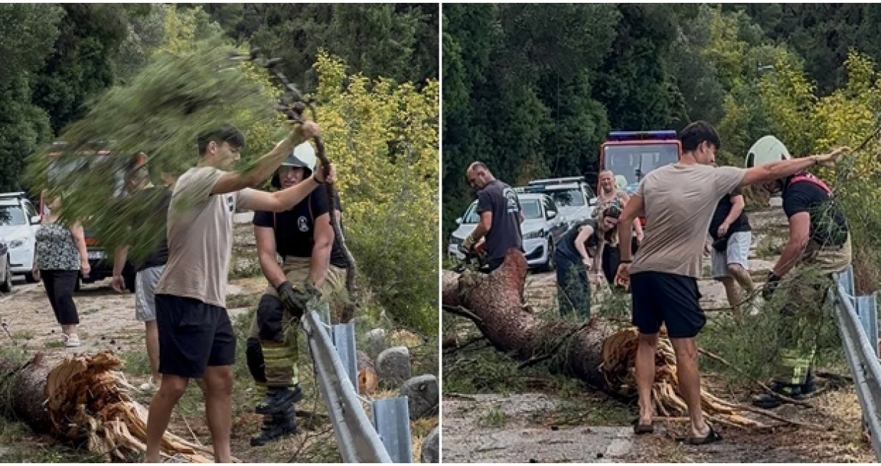 FOTO: Dalmatinski portal