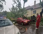 Nevrijeme u Srbiji, poginula žene, stablo palo na automobil, Sombor/