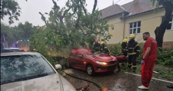 Nevrijeme u Srbiji, poginula žene, stablo palo na automobil, Sombor/