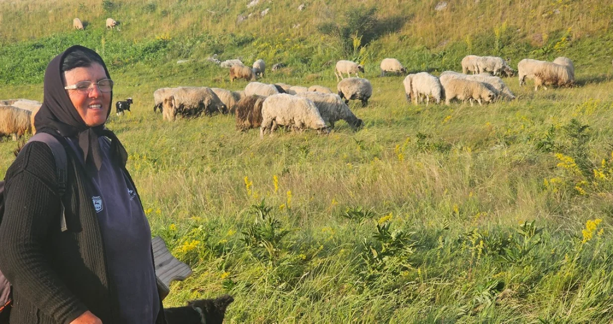 Manjača baka čoban/Goran Dakić/