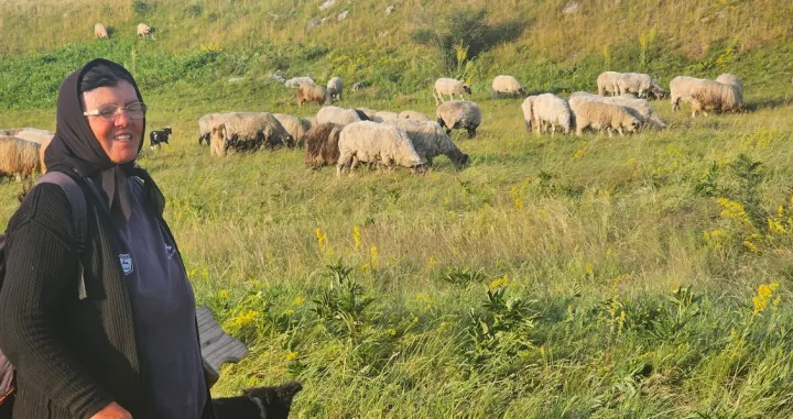 Manjača baka čoban/Goran Dakić/