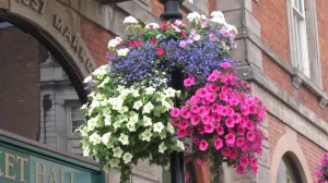 Viseće korpe pune sezonskog cvijeća/